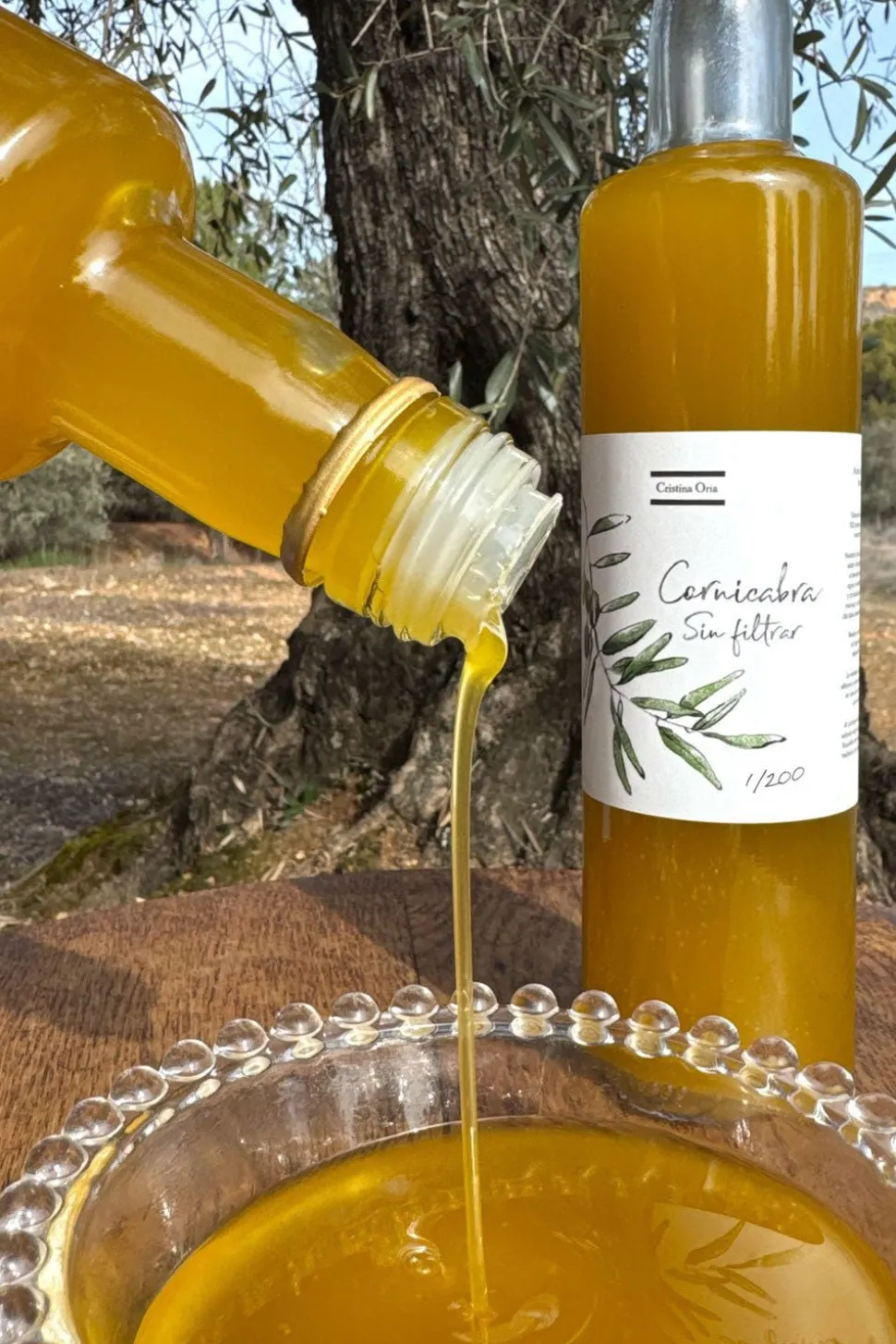 Aceite CO Cornicabra Sin Filtrar Cosecha Diciembre 2025