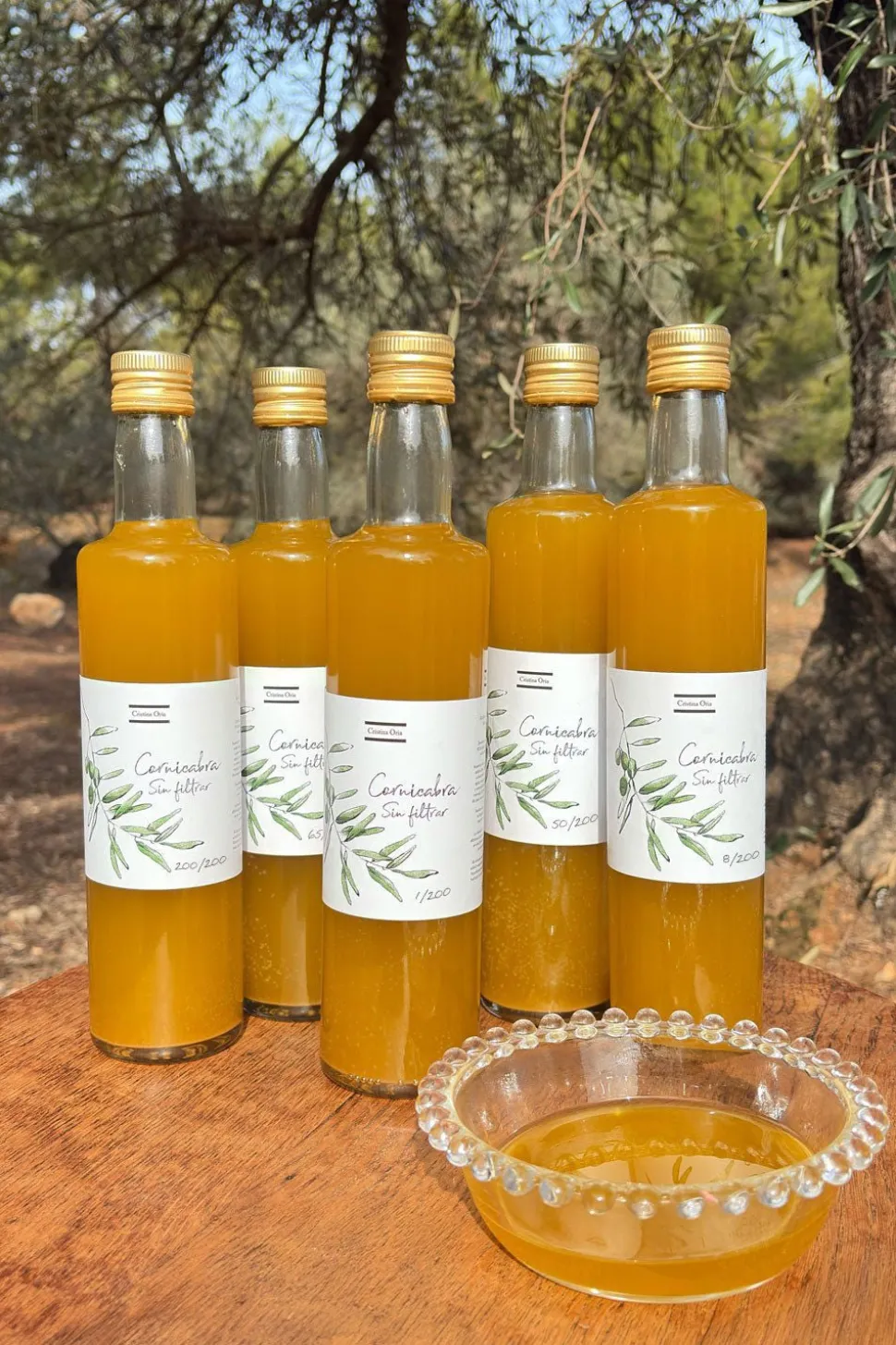 Aceite CO Cornicabra Sin Filtrar Cosecha Diciembre 2025