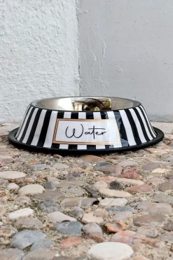Bebedero Para Mascotas Pintado A Mano Blanco Y Negro
