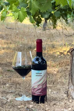 Caja Vino & Enfriador