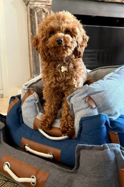 Cama para Mascotas de Tela