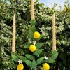 Candelabro Tres Velas De Metal Con Limones