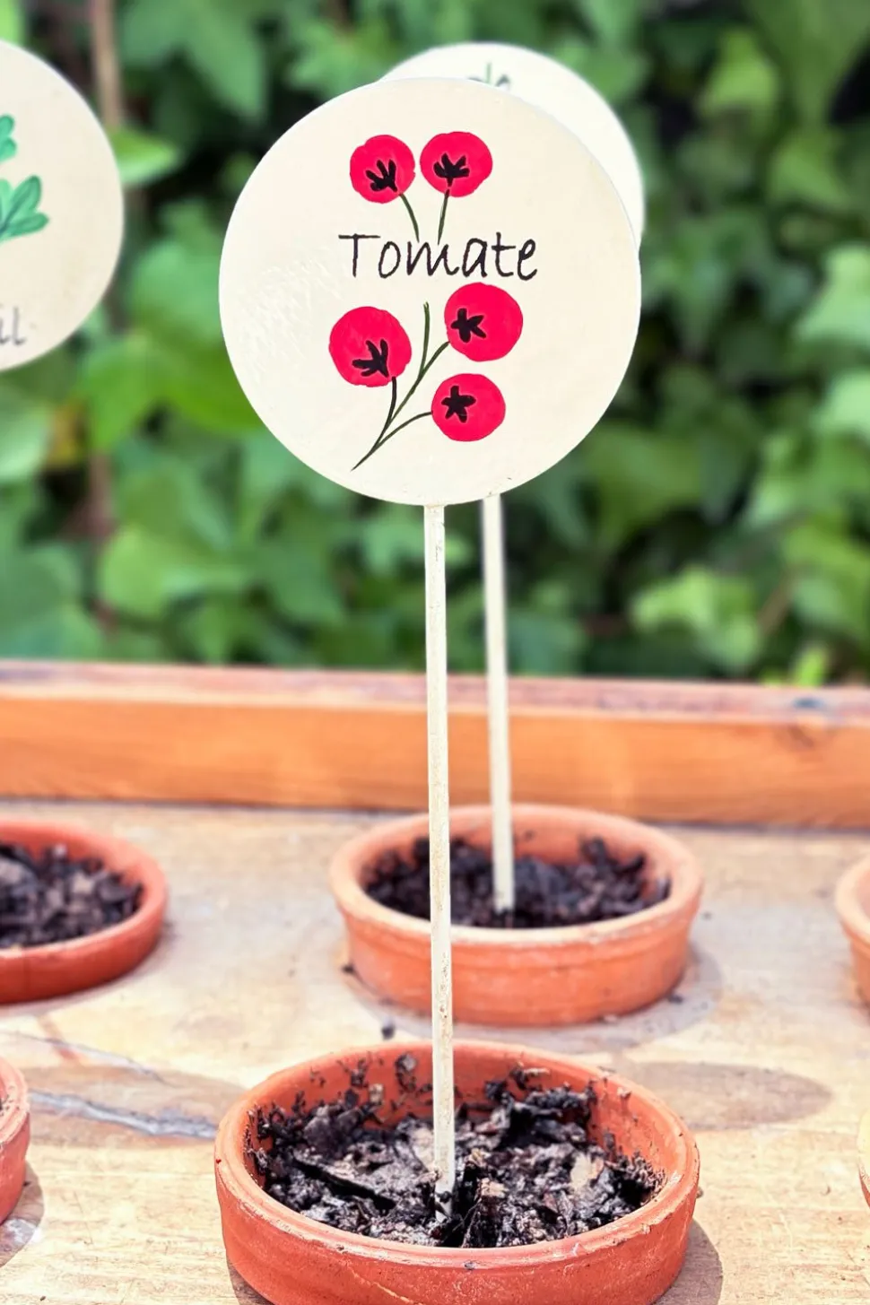 Cartel Para Plantas De Jardín Tomates