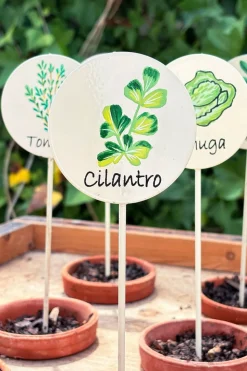 Cartel Para Plantas De Jardín Cilantro