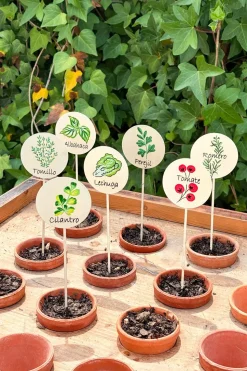 Cartel Para Plantas De Jardín Lechuga