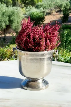 Champanera Plateada Con Arandelas Y Base Baja