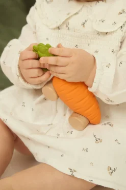 Coche Para Bebés Con Diseño De Zanahoria
