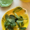 Cuenco De Cerámica Diseño Limón