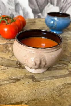 Cuenco De Porcelana Con Diseño De Leones