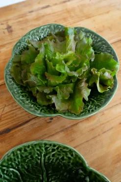 Ensaladera Honda Hoja De Col