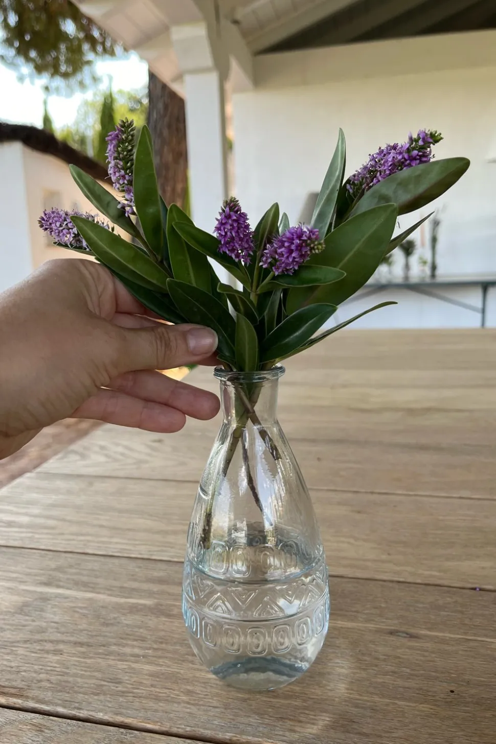 Florero De Cristal Con Diseño Roma Transparente