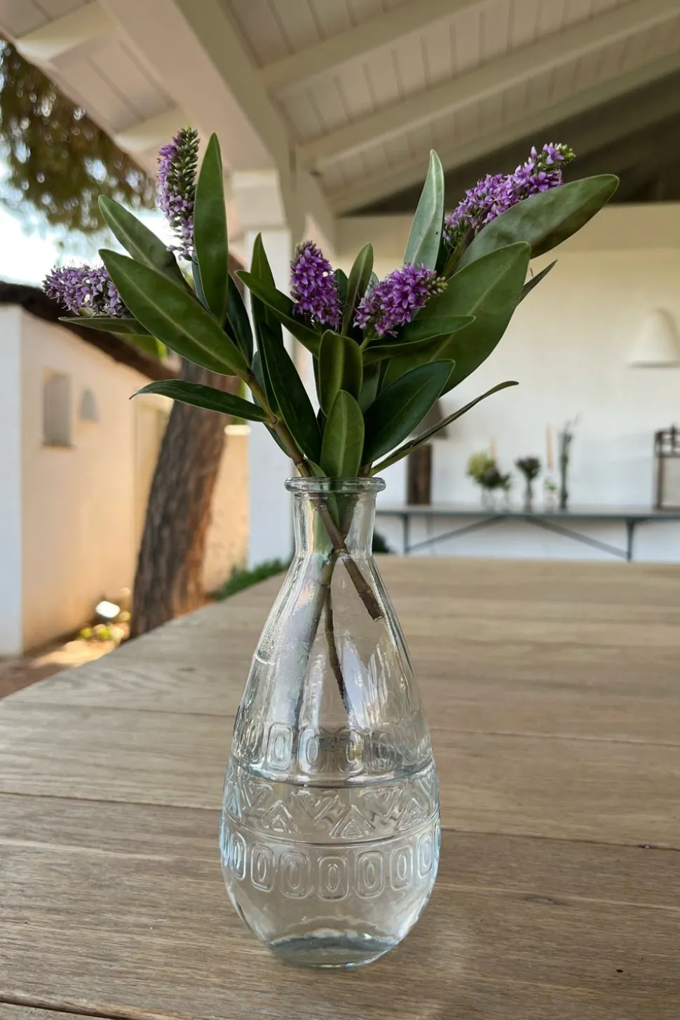 Florero De Cristal Con Diseño Roma Transparente