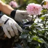 Guantes Especial Jardinería
