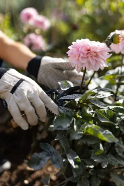 Guantes Especial Jardinería