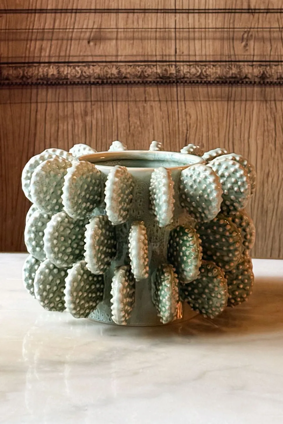 Jarrón Bajo Con Diseño De Cactus Verde