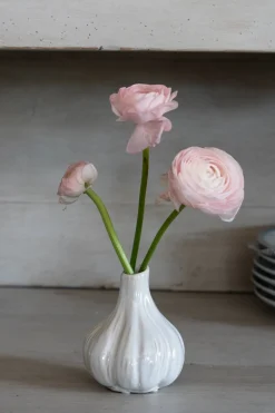 Jarrón Con Diseño De Ajo Blanco
