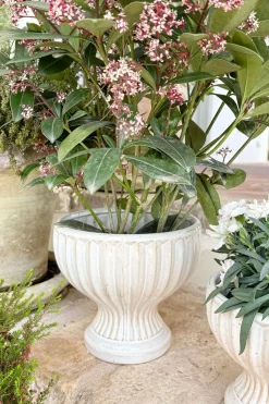 Jarrón Diseño Copa De Porcelana Blanco Roto Grande