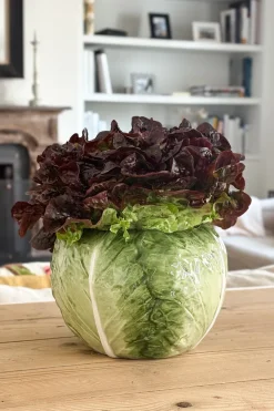 Jarrón Diseño Lechuga Ancho