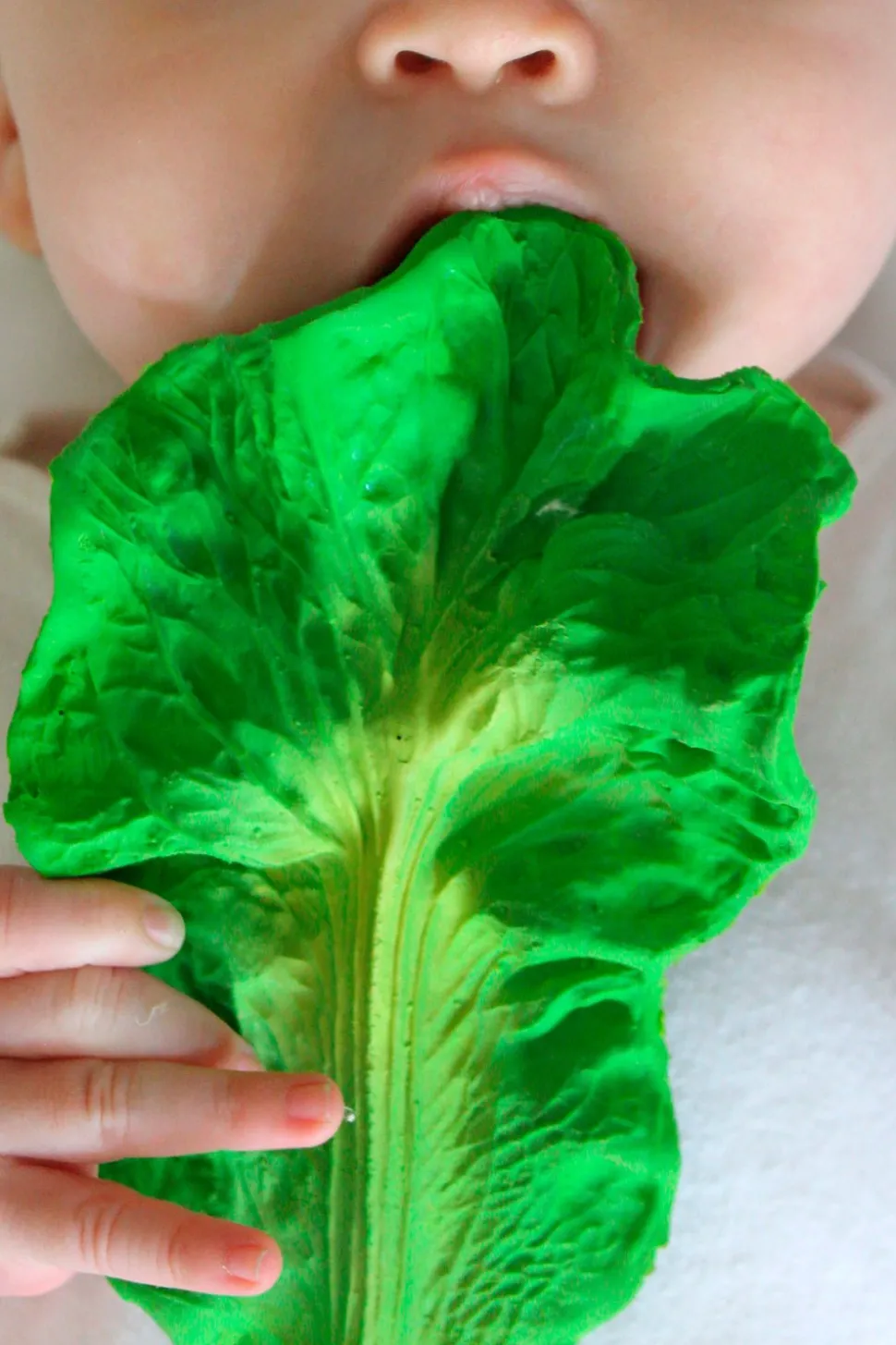 Mordedor Para Bebés Con Diseño De Kale