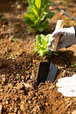 Pala De Acero Y Madera Para Plantación