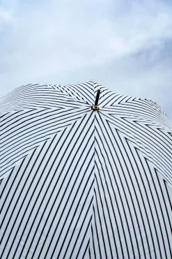 Paraguas Con Diseño De Rayas Blancas Y Negras