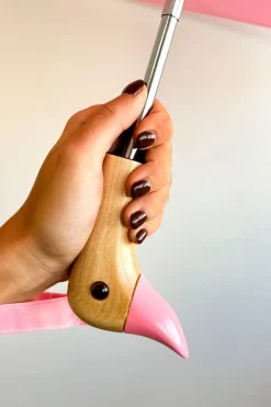 Paraguas Con Diseño Rosa Y Mango Con Cabeza De Pato