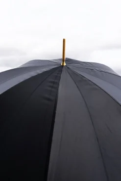 Paraguas Pasotti Negro Con Interior De Flor Dorada