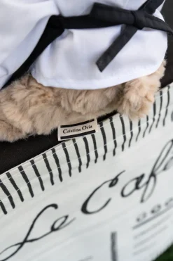 Peluche Oso Chef Co