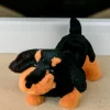 Peluche Teckel CO
