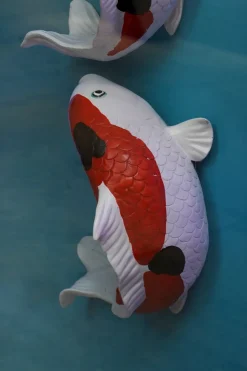 Pez Koi De Decoración
