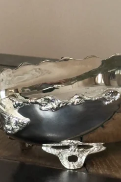 Recipiente Con Asas De Plata CO