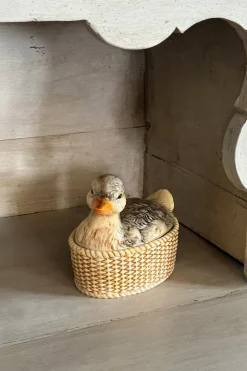 Recipiente Con Tapa Diseño Pato