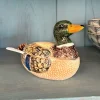 Recipiente Con Tapa Y Cuchara Diseño Pato