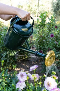 Regadera De Metal Verde 9L
