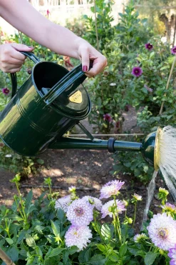 Regadera De Metal Verde 5L