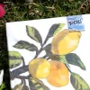 Servilletas Limones Grandes