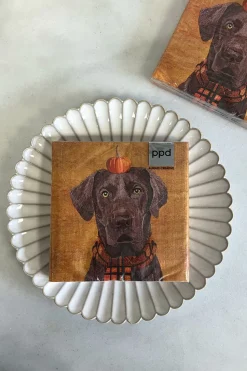 Servilletas Perro & Calabaza Grandes