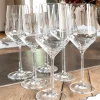 Set 6 Copas Vino Alargadas Cristalería Sommelier