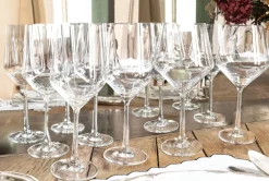 Set 12 Copas Vino Cristalería Sommelier