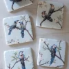 Set 4 Posavasos De Mármol Diseño Pájaros