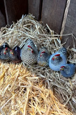 Set Figuras Decorativas Gallinas Grandes