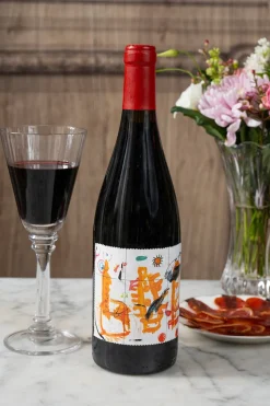 Vino Gallinas Y Focas