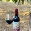 Vino Tinto Senda Crianza 2021 CO